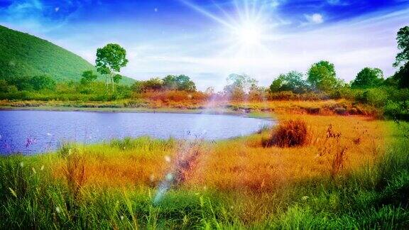 池塘边阳光草地