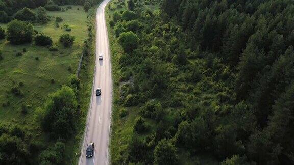 穿越森林的公路旅行