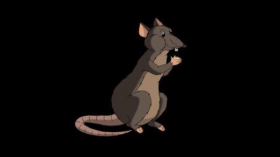 棕色老鼠坐着吃奶酪动画阿尔法马特