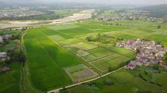 中国农业的场景