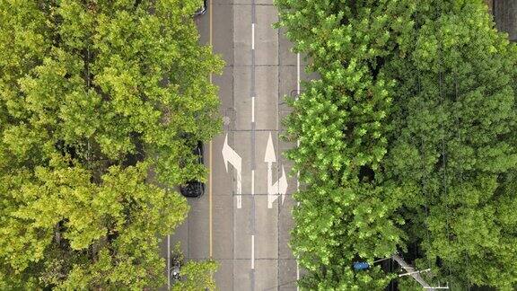 无人机鸟瞰图的道路与森林和树木沿着道路与很少的汽车