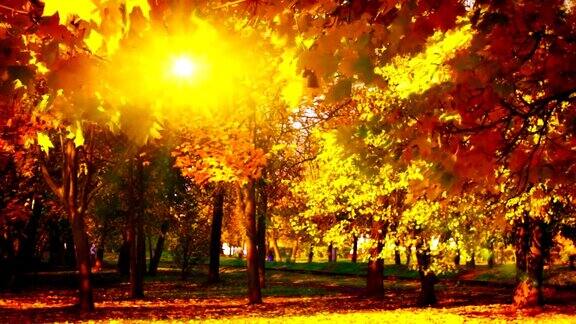 秋天的最后一个太阳是公园