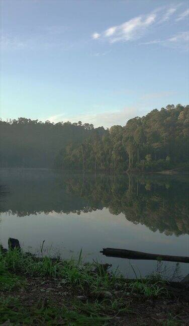 垂直格式的一个和平的湖泊与森林的背景美丽宁静的自然背景