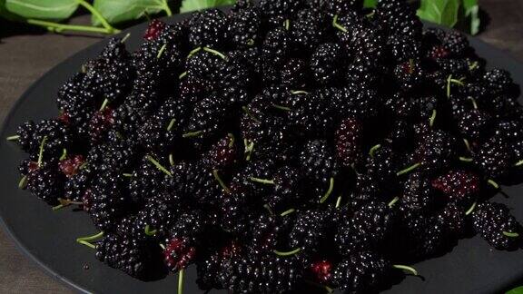 碗里的桑葚黑莓在夏季收获水果食品背景
