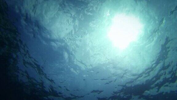 自由潜水者与鱼在深渊中游泳
