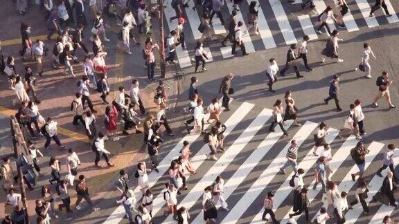 日本东京人群穿过斑马线