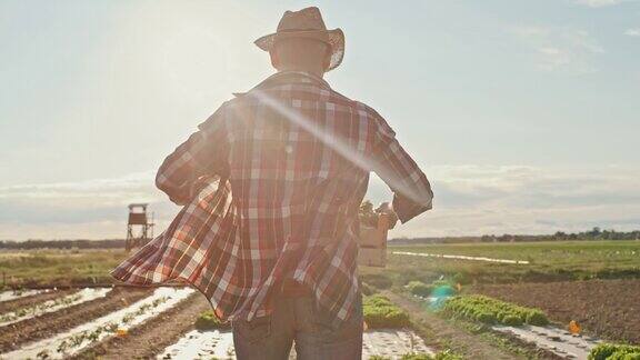 日落时分一个戴着帽子的农民背着一个板条箱在田野上