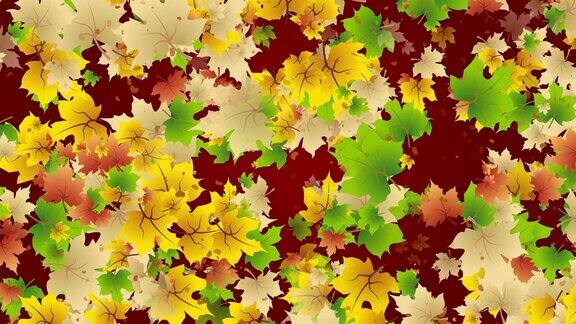 黄色飘落枫叶的季节秋天的背景无缝动画干叶子在旋转循环运动图形