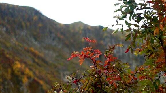 山间的秋天