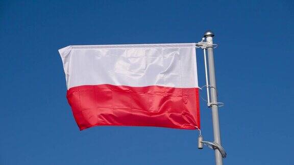 波兰国旗迎风飘扬白色和红色的旗帜在蓝天波兰国旗