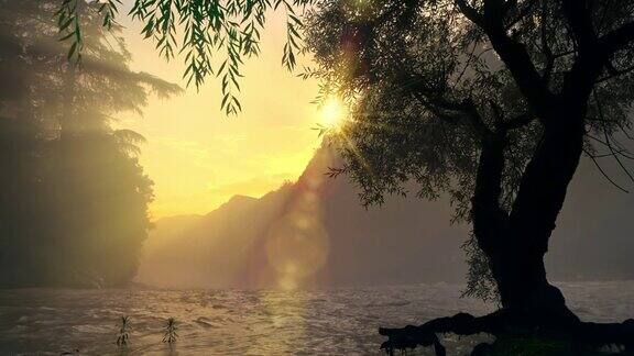 日出时在河上的树