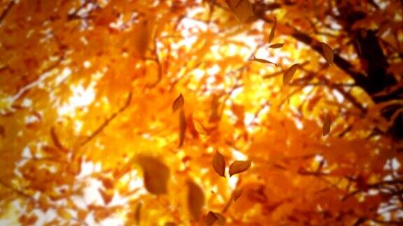 乔木和灌木与落叶金色循环背景