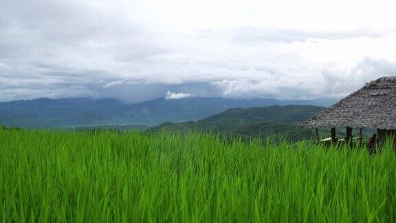 平移射击-米梯田的观点在山脉