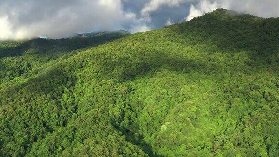 整个热带雨林的鸟瞰图泰国北部南省的森林状况