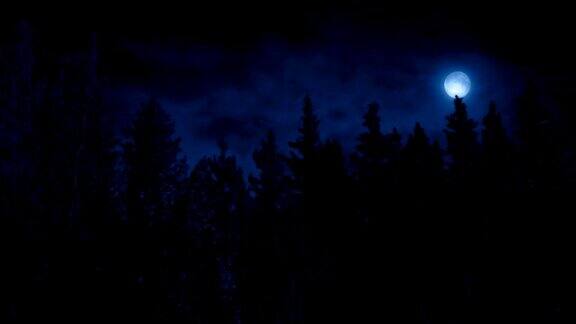 在有月亮的夜晚从树旁走过