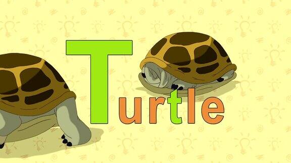 海龟英语动物园字母表-字母T