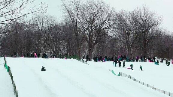 一群人在蒙特皇家公园享受冬日下午的雪橇