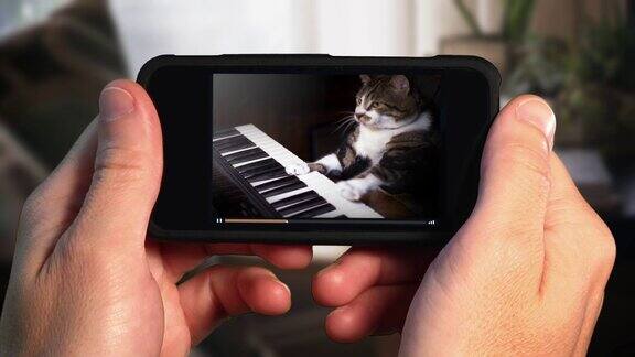 看有趣的键盘玩智能手机上的猫