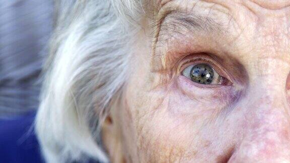 大眼睛美丽尖锐聪明的老年白人妇女独特的斑点漂亮的眼睛和脸在夏天的户外