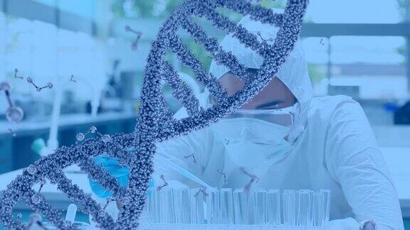 实验室科学家和DNA双螺旋结构
