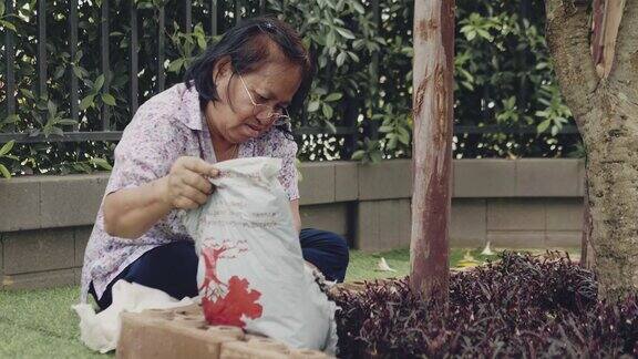 亚洲高级妇女在花园种植绿色幼苗