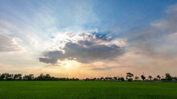 时光流逝美丽的风景阳光照射在绿色的田野