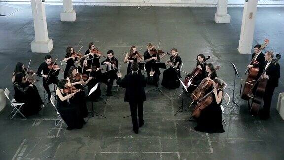 乐团在交响音乐厅拉小提琴的音乐家