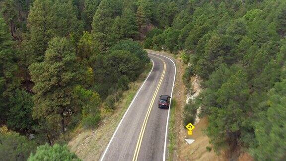 AERIAL:越野车沿着蜿蜒的山路穿过森林