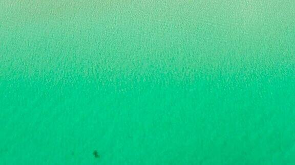 泻湖海水表面文字拷贝空间鸟瞰图俯视图透明的绿松石海水表面