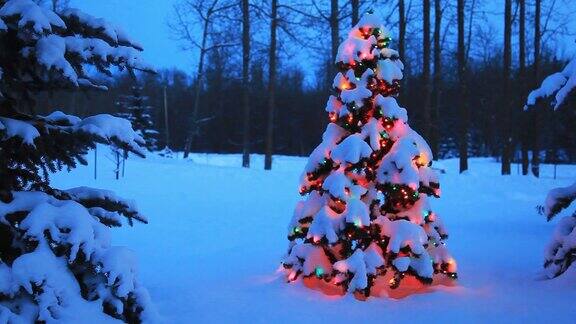 户外发光的圣诞树