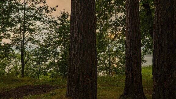 美丽的夏日日落在森林湖边的森林Hyperlapse镜头移动