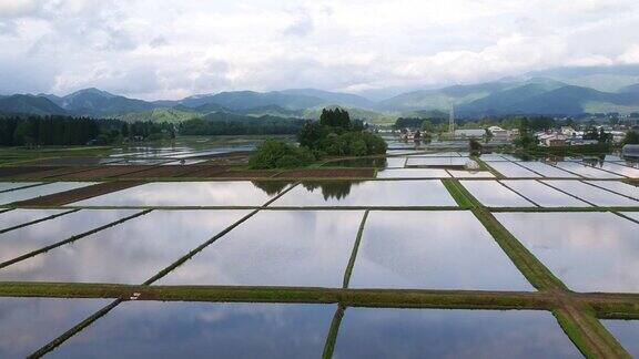 日本水稻种植季节鸟瞰图