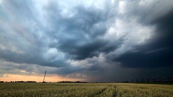 一段时间的雷雨在盛开的荞麦地上移动