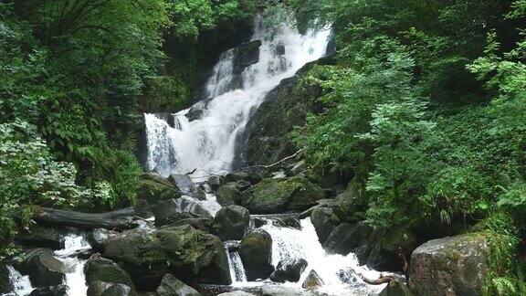 爱尔兰基拉尼附近的托克瀑布