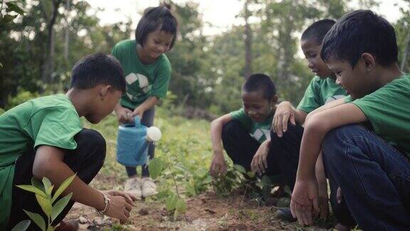 孩子们种树玩得很开心以拯救世界的理念