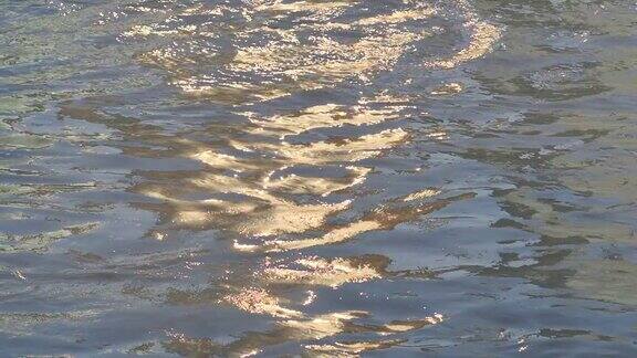 金色的阳光反射在日出的海面上阳光在平静的水面上闪闪发光航行的船掀起的浪超级慢镜头