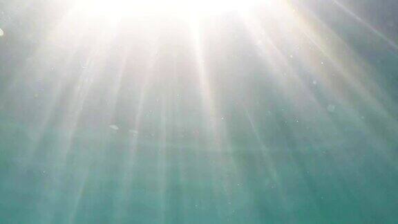 阳光在水面上闪闪发光
