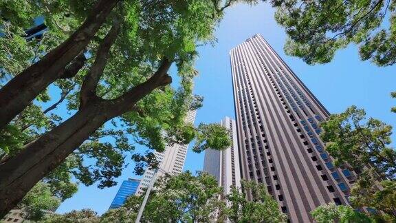 新宿的摩天大楼有着美丽的绿色