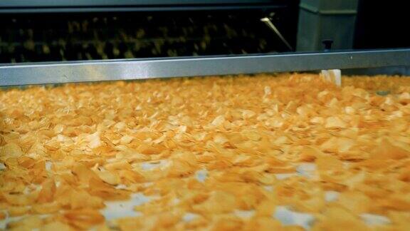 在食品生产设施中许多炸薯片通过自动传送带移动
