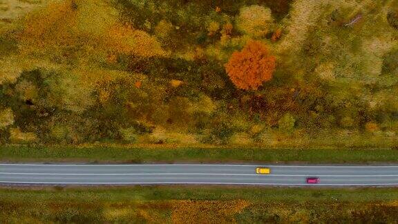 从以上观点鸟瞰图飞行秋天自然道路运行通过农村路在秋景航拍红色黄色的汽车在道路上通过多彩的风景在秋天的一天