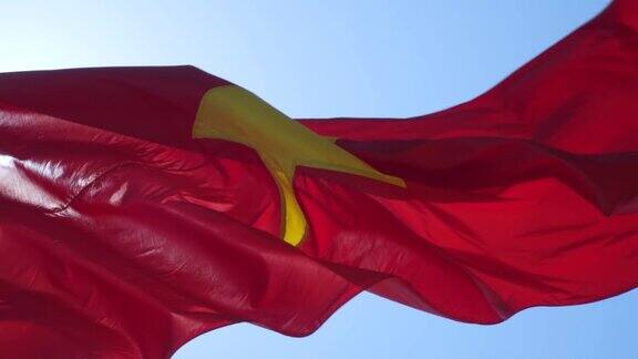 挥舞着越南国旗越南国旗