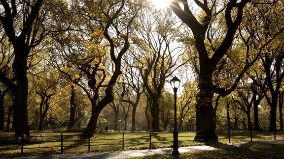 中央公园的秋景