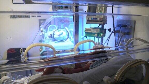 一个拉丁美洲的小新生儿在新生儿重症监护室的恒温箱里
