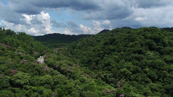 巴西大西洋森林生物群系里吉斯·比腾古公路鸟瞰图主题视频收藏