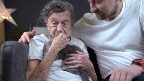 主题是在动物的帮助下对养老院老人的帮助和心理支持一位资深女士的志愿者助理在沙发上抚摸着可爱的小猫照顾有宠物的老年女性