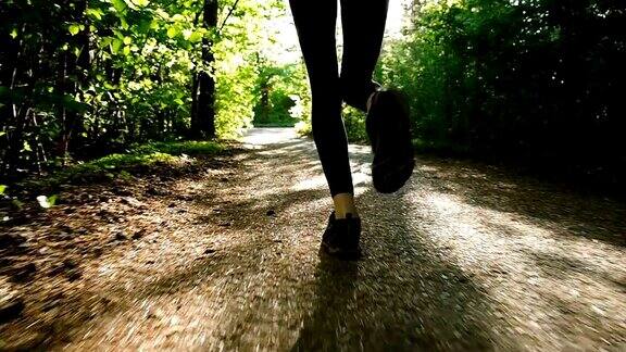 在夏天跑鞋女性的腿特写日落时分一个女人在树林里奔跑慢镜头