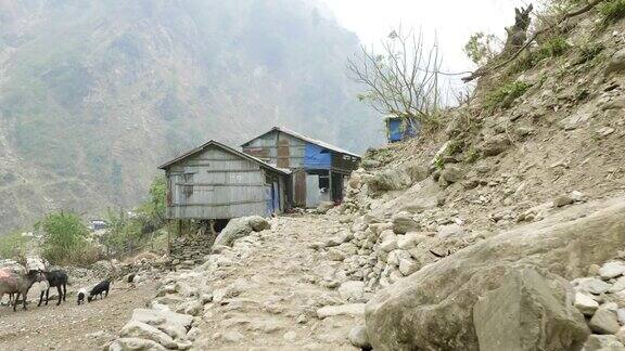 马纳斯鲁环行路上的尼泊尔村庄