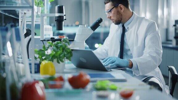 用笔记本电脑工作的男性科学家通过显微镜分析实验室培育的番茄在现代实验室用技术设备研究分子样本的微生物学家