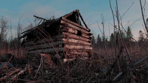 森林中古老的小木屋年代久远