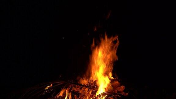 夜间篝火烧树营火烧柴火火烧火焰